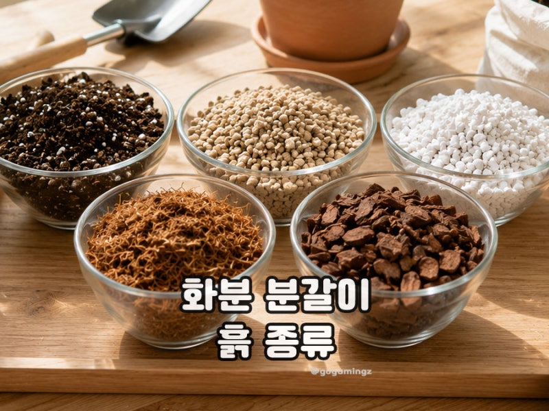 화분분갈이 흙 종류와 특징 마사토 배양토 식물 분갈이 방법