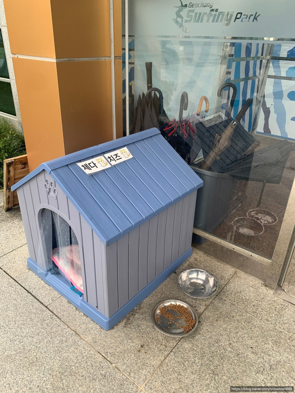 거창서핑파크 사진 3