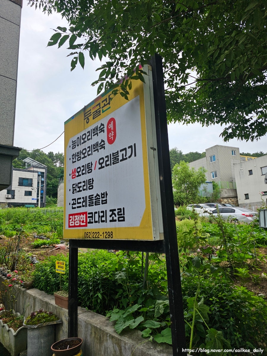 둥굴관 사진 2
