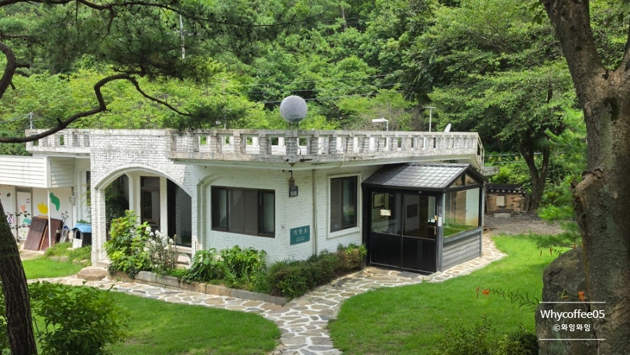 기양초 사진 5