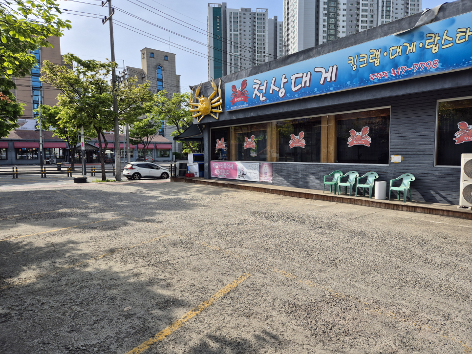 천상대게 사진 2