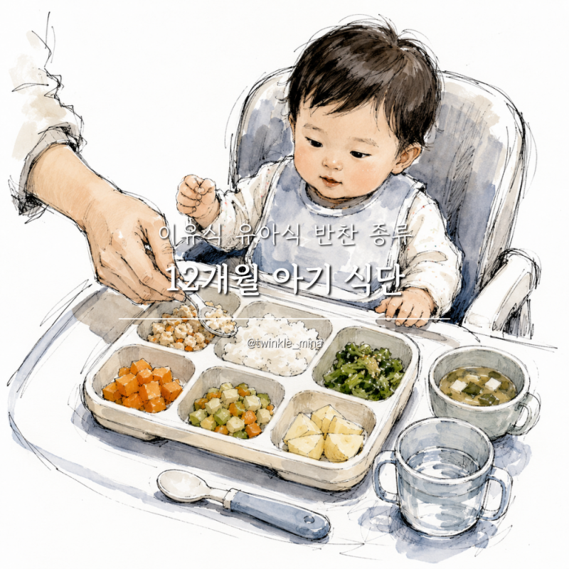 12개월 아기 식단 돌아기반찬 이유식 유아식 반찬 종류 핵심정리