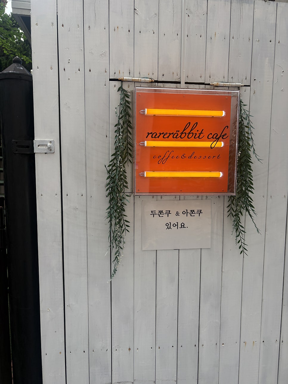 레어레빗 사진 2