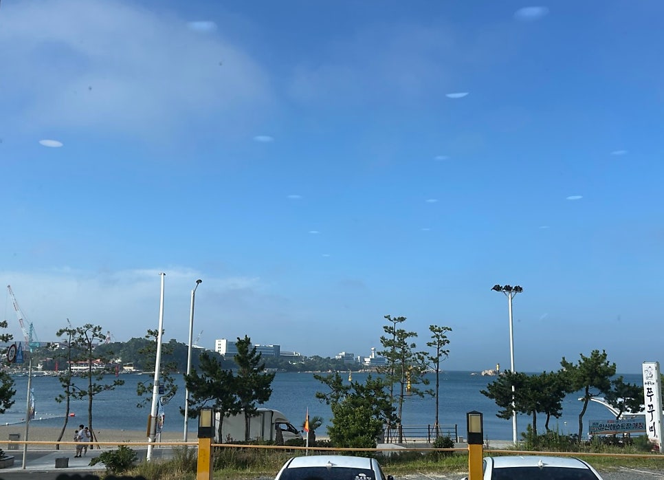 바보형제쭈꾸미 울산일산점 사진 6