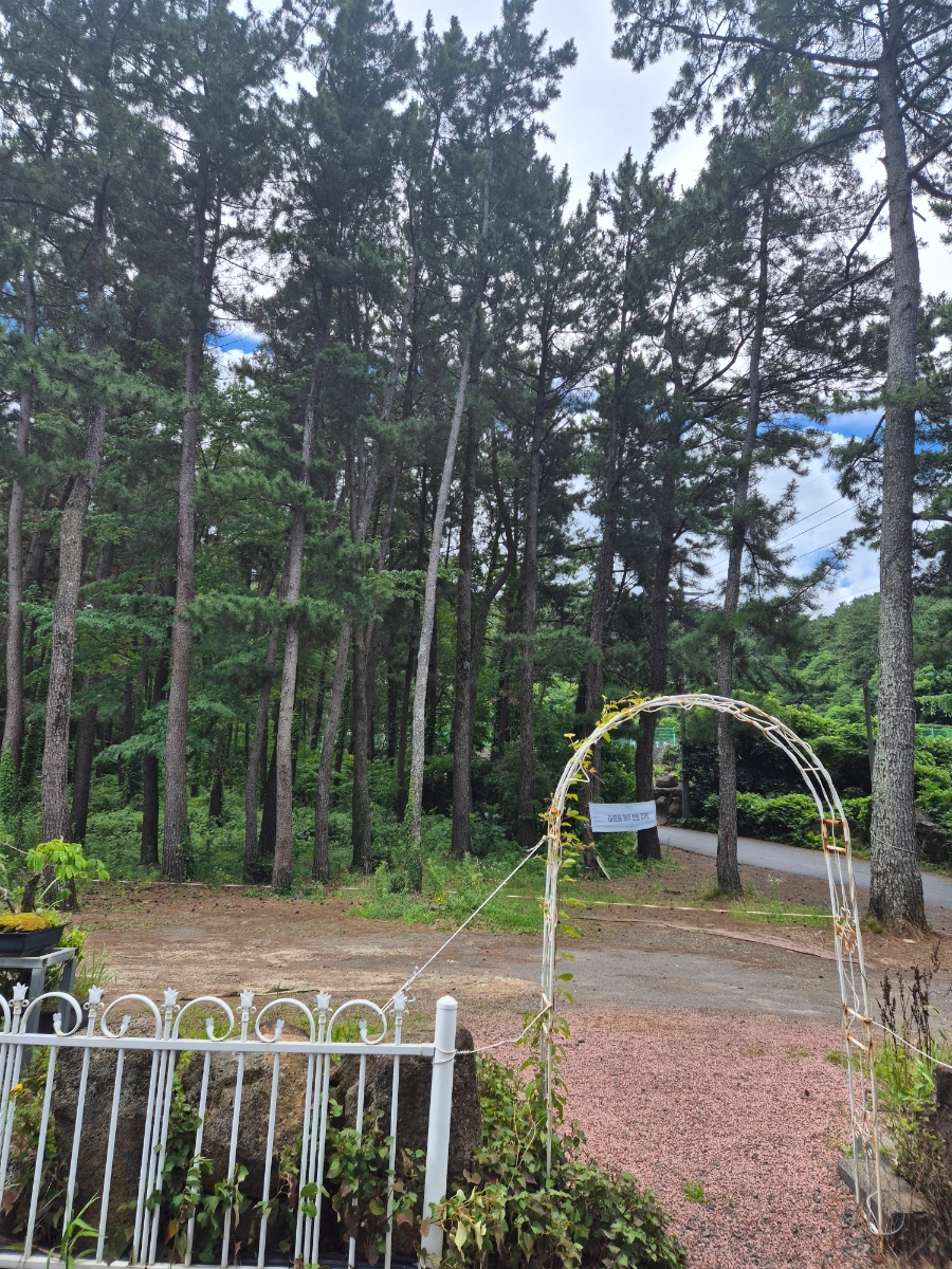 아포제 제주 사진 5