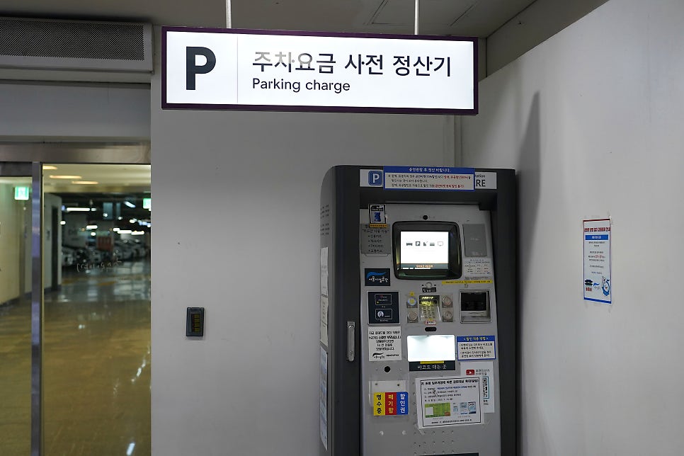 친니 사진 2