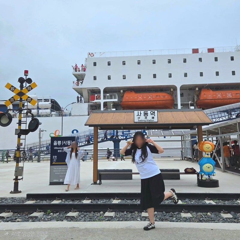 울릉도 여행 포항 울릉크루즈 6인실 셔틀버스 일출 영일만항