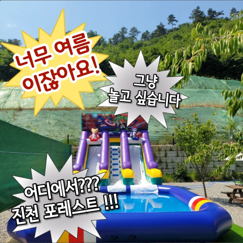포레스트 사진 3