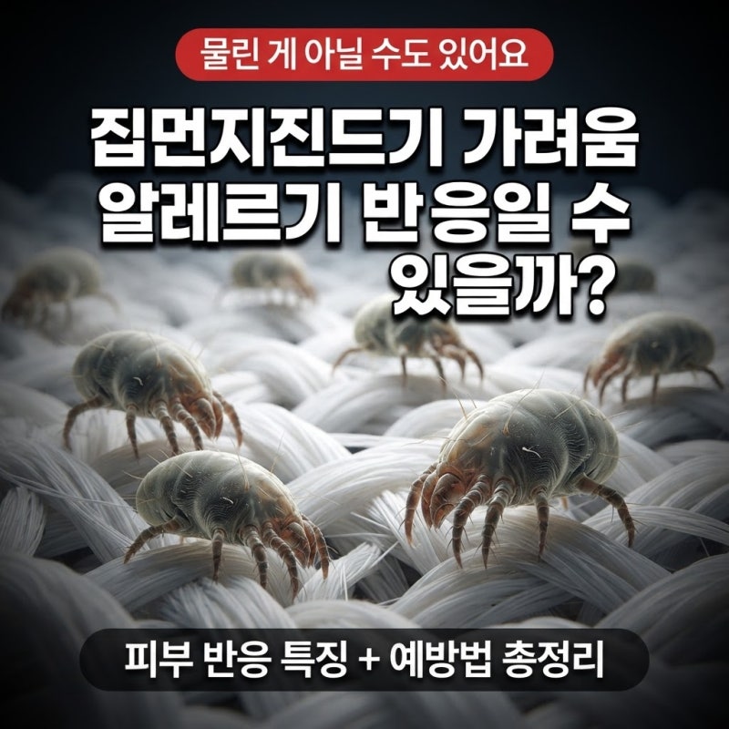 "집먼지진드기 물린자국" 특징 총정리+ 예방팁 까지!