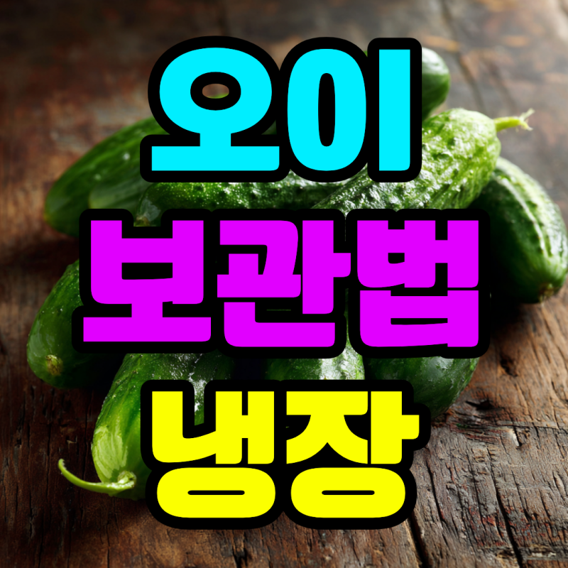 오이 보관법 냉장 보관 기간 팁까지