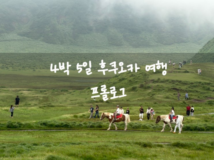 2026.07 / 4박 <b>5일</b> 후쿠오카 여행 일정