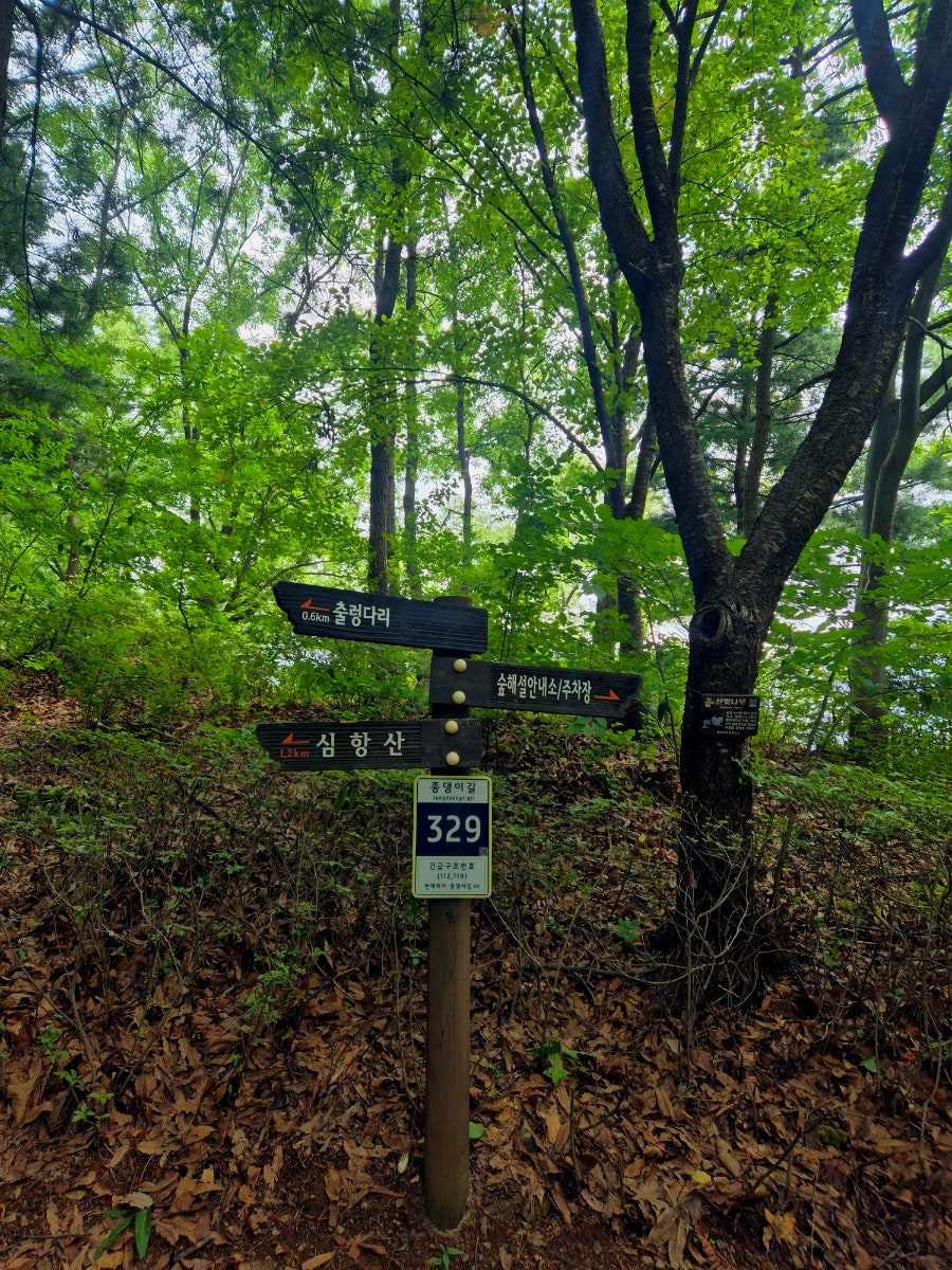 심항산 사진 6