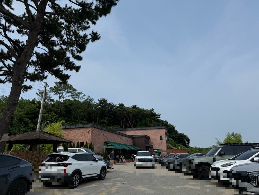 포도밭할머니칼국수 사진 3