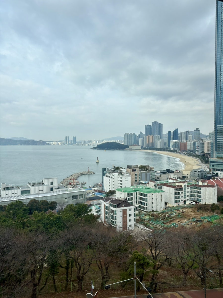 아저씨대구탕 사진 1