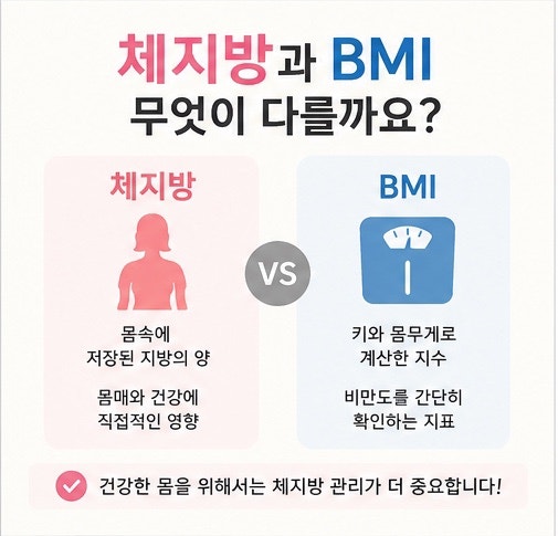 체지방과 BMI의 차이 무엇이 다를까요? 다이어트 할 때 꼭 알아야하는 것