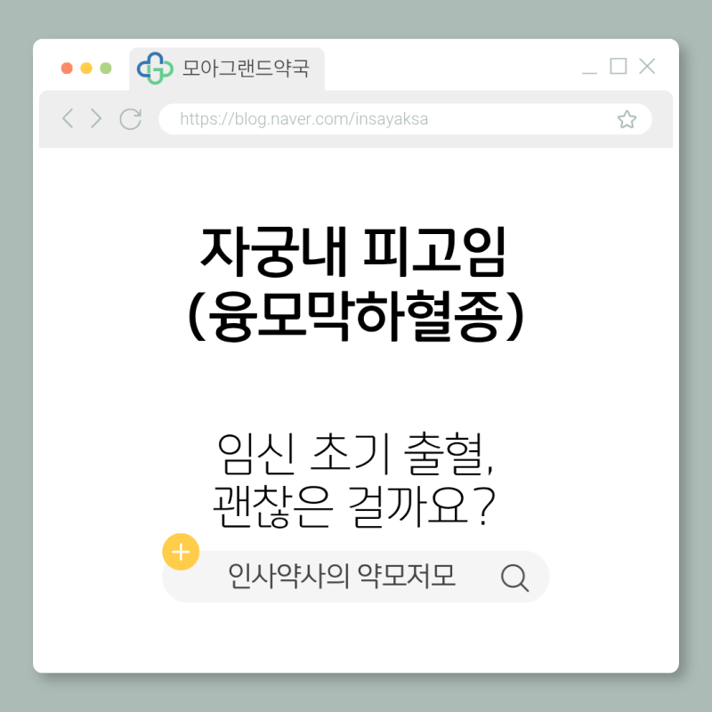 [임신초기] 자궁내 피고임(SCH)이란?｜임신 초기 출혈, 괜찮은 걸까요?