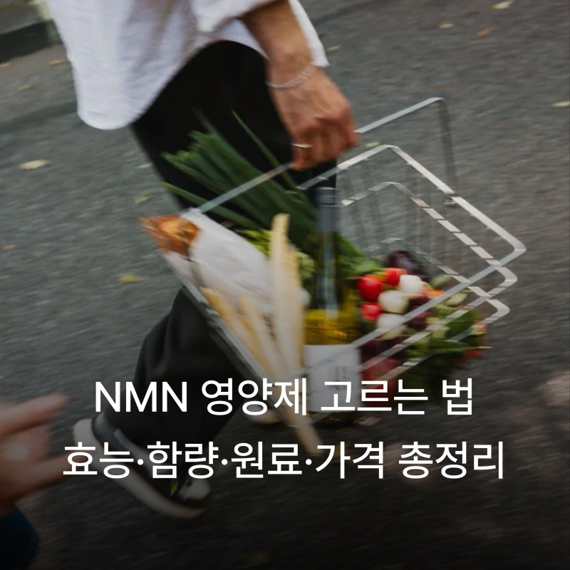 NMN(엔엠엔) 영양제 고르는 법 | NMN 효능·함량·원료·가격 총정리