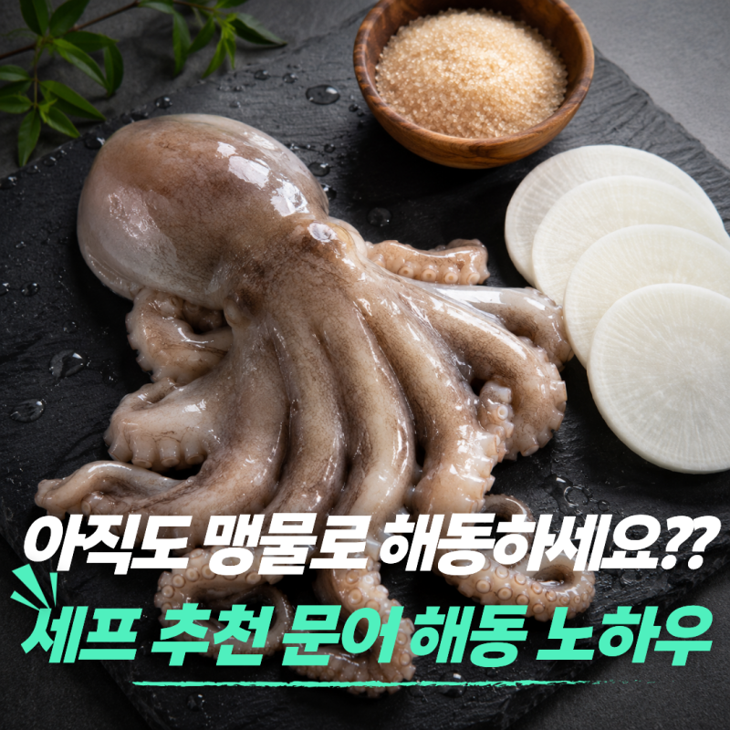 "아직도 맹물에 담가서 해동하시나요?" 셰프들이 몰래 쓰는 문어 해동 비결 Top 5