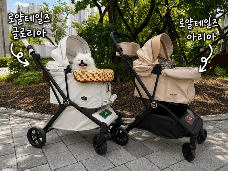로얄테일즈 아리아 강아지유모차 vs 글로리아 고양이유모차 개모차비교