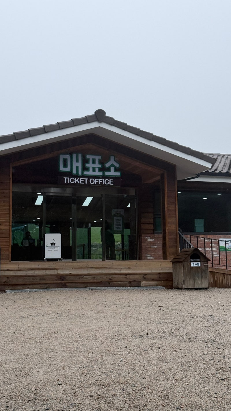 대관령양떼목장 비 오는 날 안개 속에서 둘러본 후기