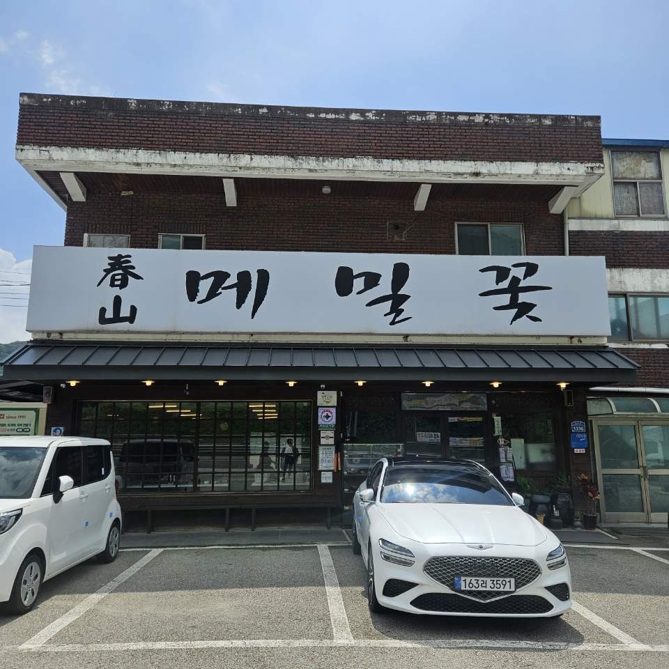 춘산메밀꽃 사진 2