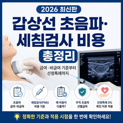 2026 갑상선 초음파·세침검사 비용 총정리｜급여·비급여 기준부터 산정특례까지