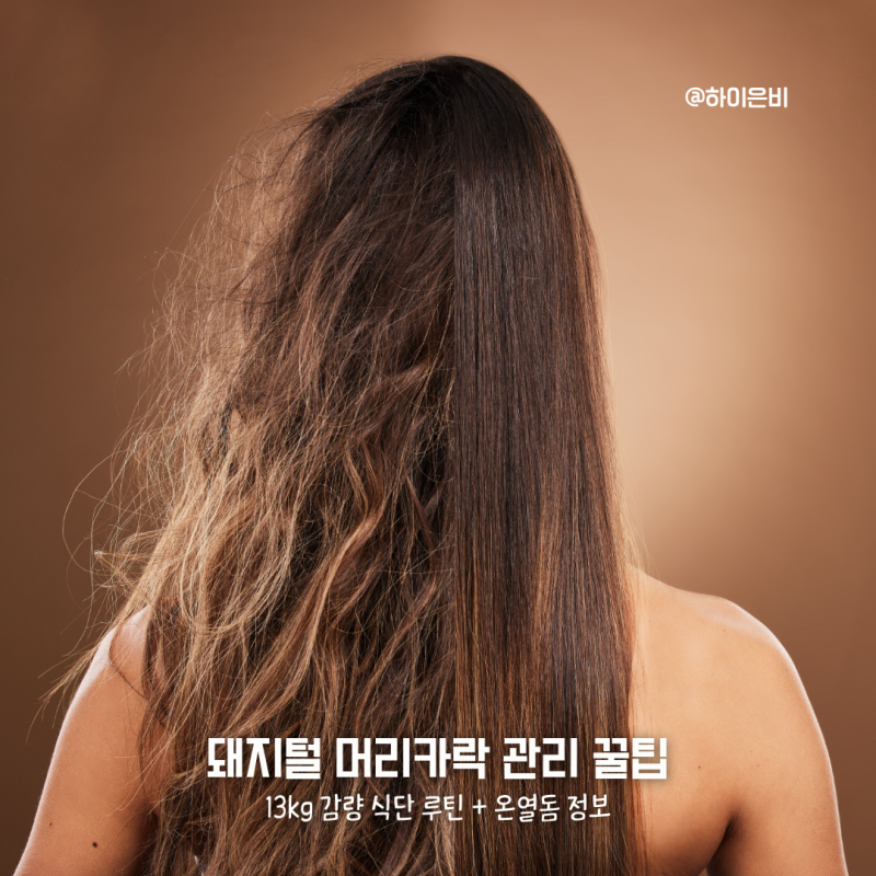 돼지털머리카락, 뿌리 셀프매직하는법과 두피홈케어 가이드