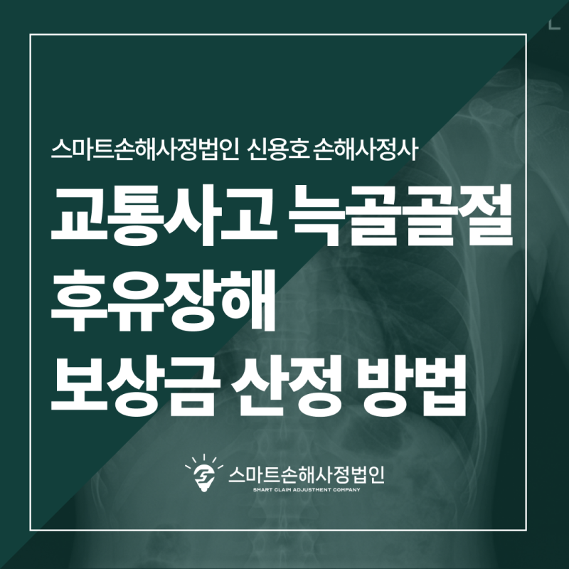 교통사고 늑골골절 보상금 산정 기준과 부산 손해사정사 활용법 안내