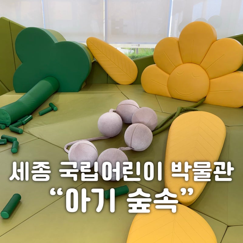 세종 국립어린이박물관 아기숲속 36개월미만 아기랑 가볼만한 실내장소