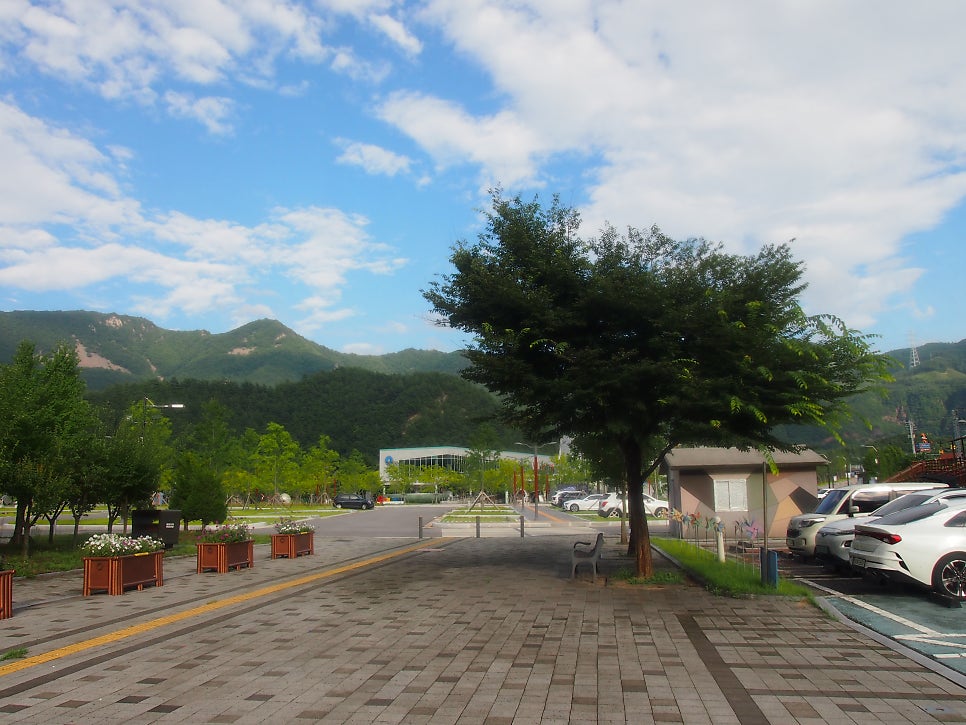 도계유리나라 사진 4