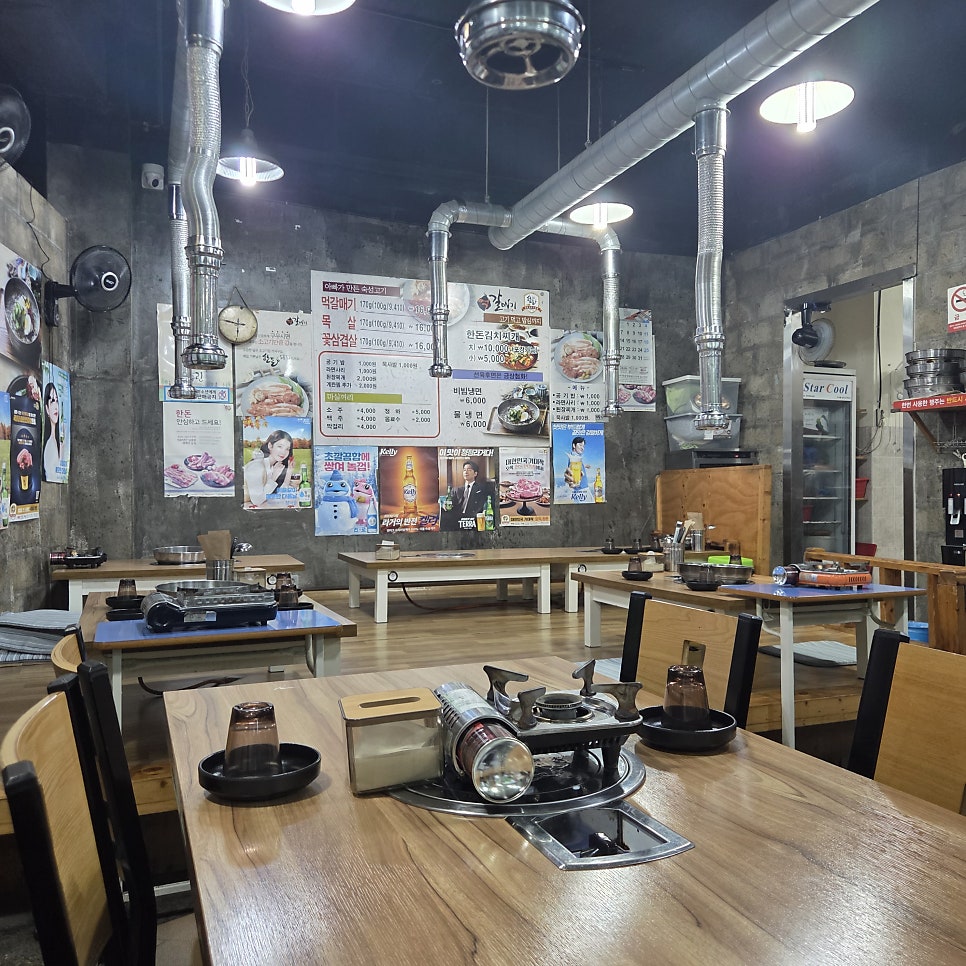먹갈매기 사진 5