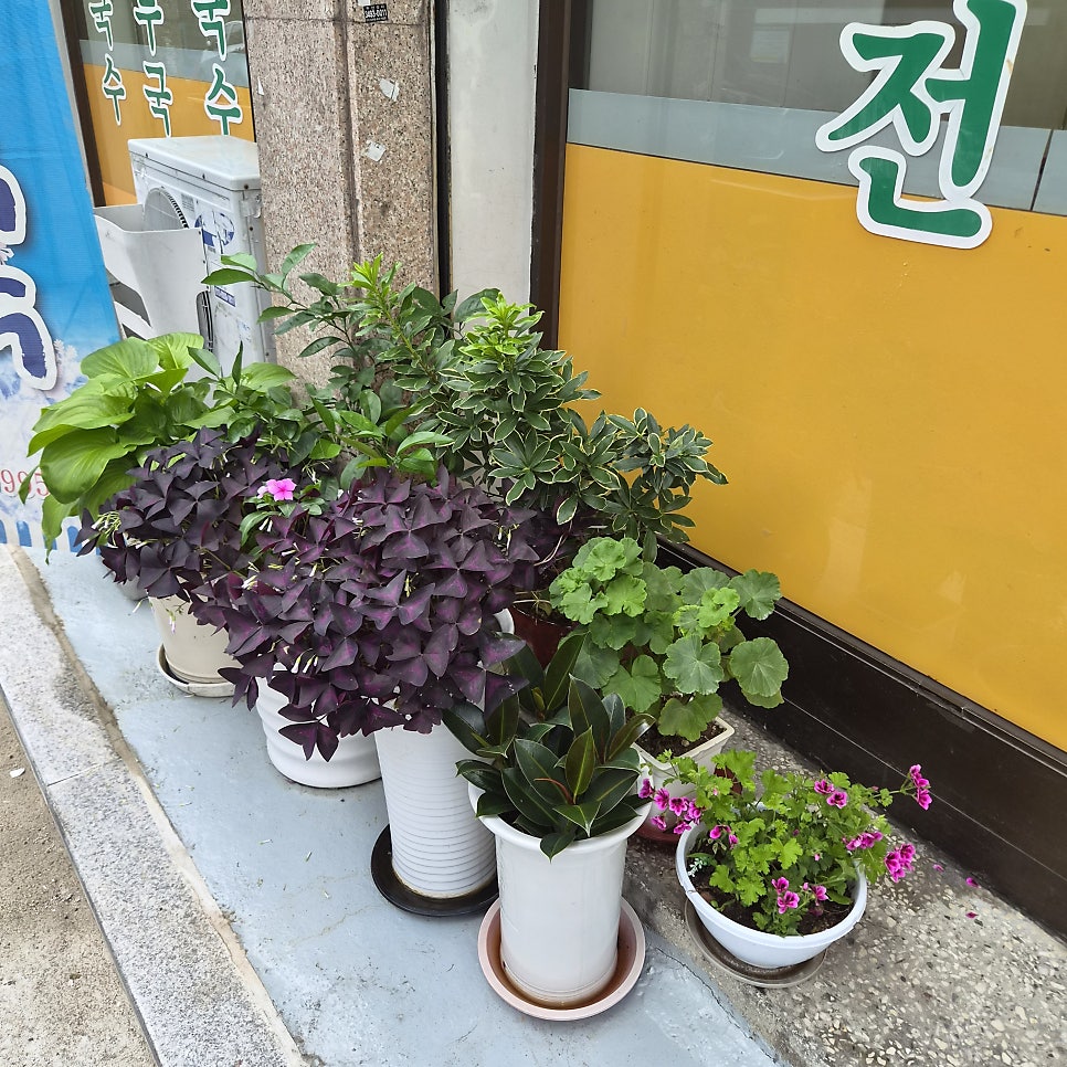 장원손칼국수전문 사진 2