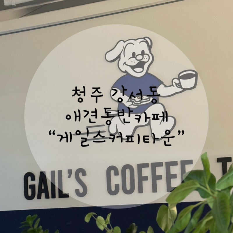 충북 청주 강서동 애견동반카페 새벽까지 영업하는 “게일스커피타운”