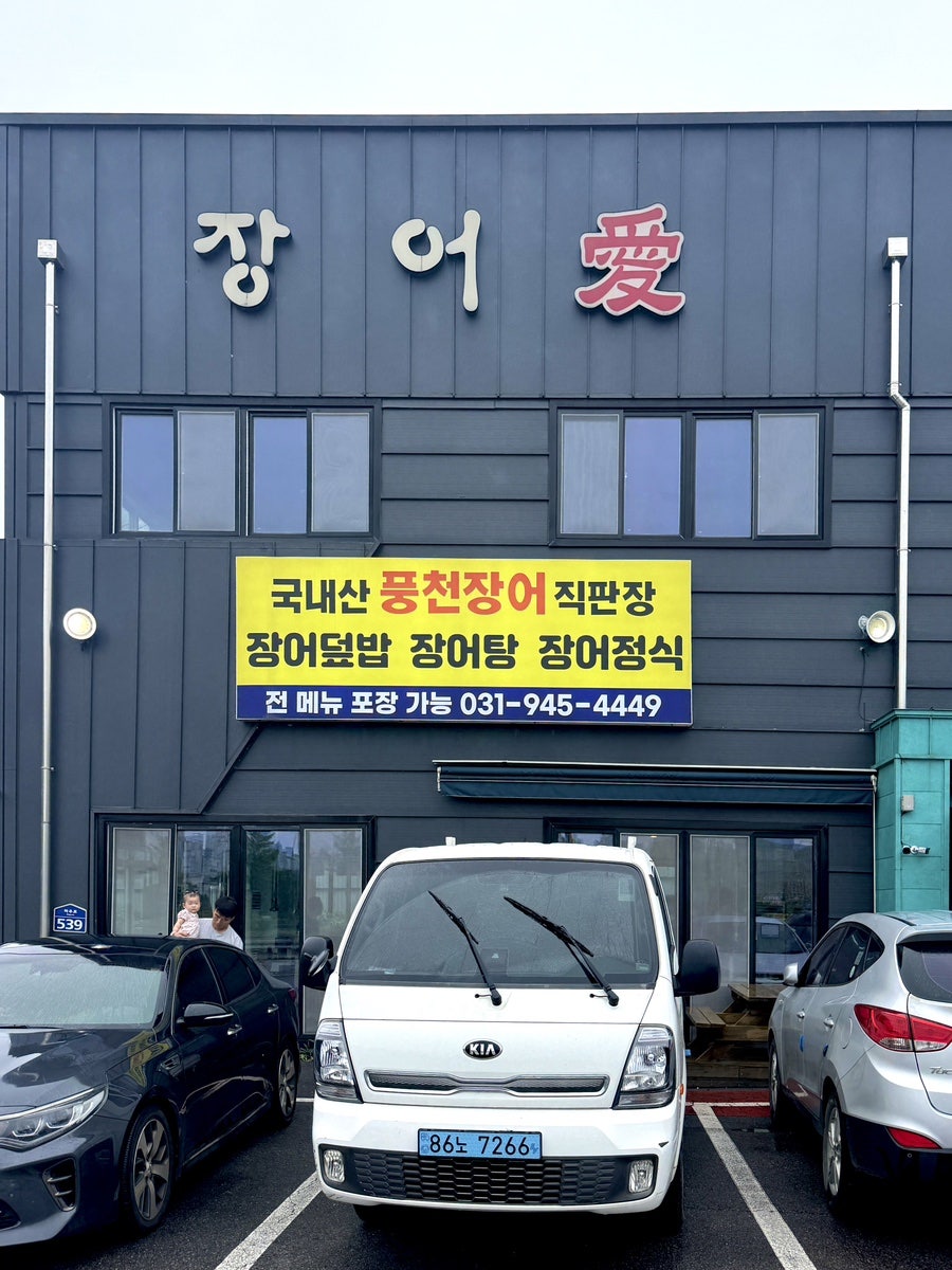 장어애 사진 3
