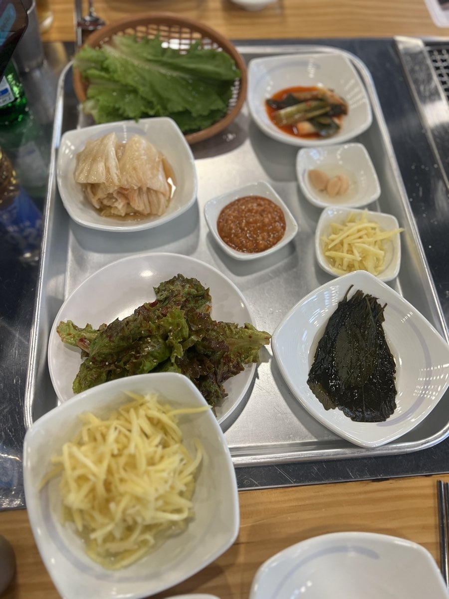스타장어 사진 6