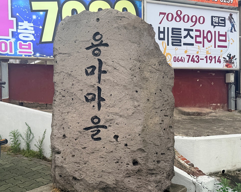 돈해야 사진 2