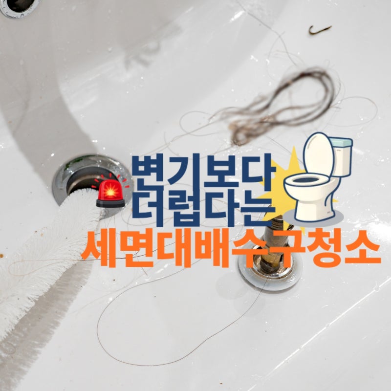 변기보다 더럽다는 화장실 세면대 배수구 청소
