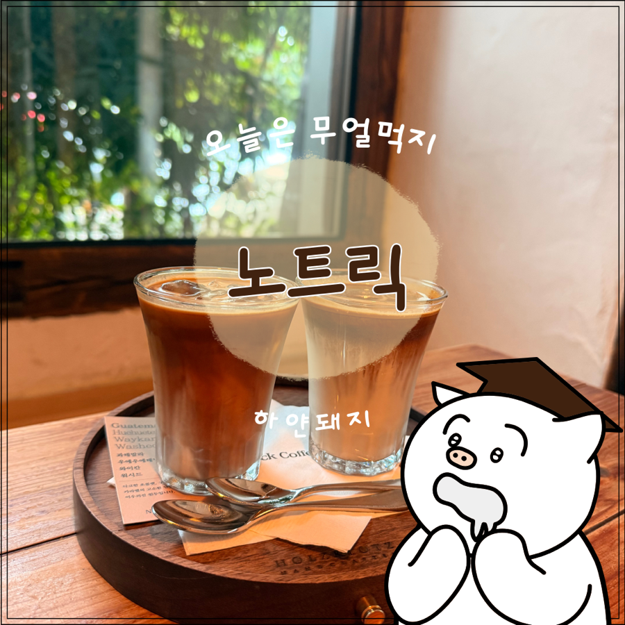 노트릭