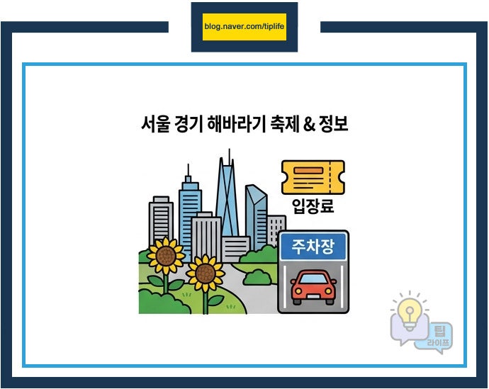 해바라기 사진 6