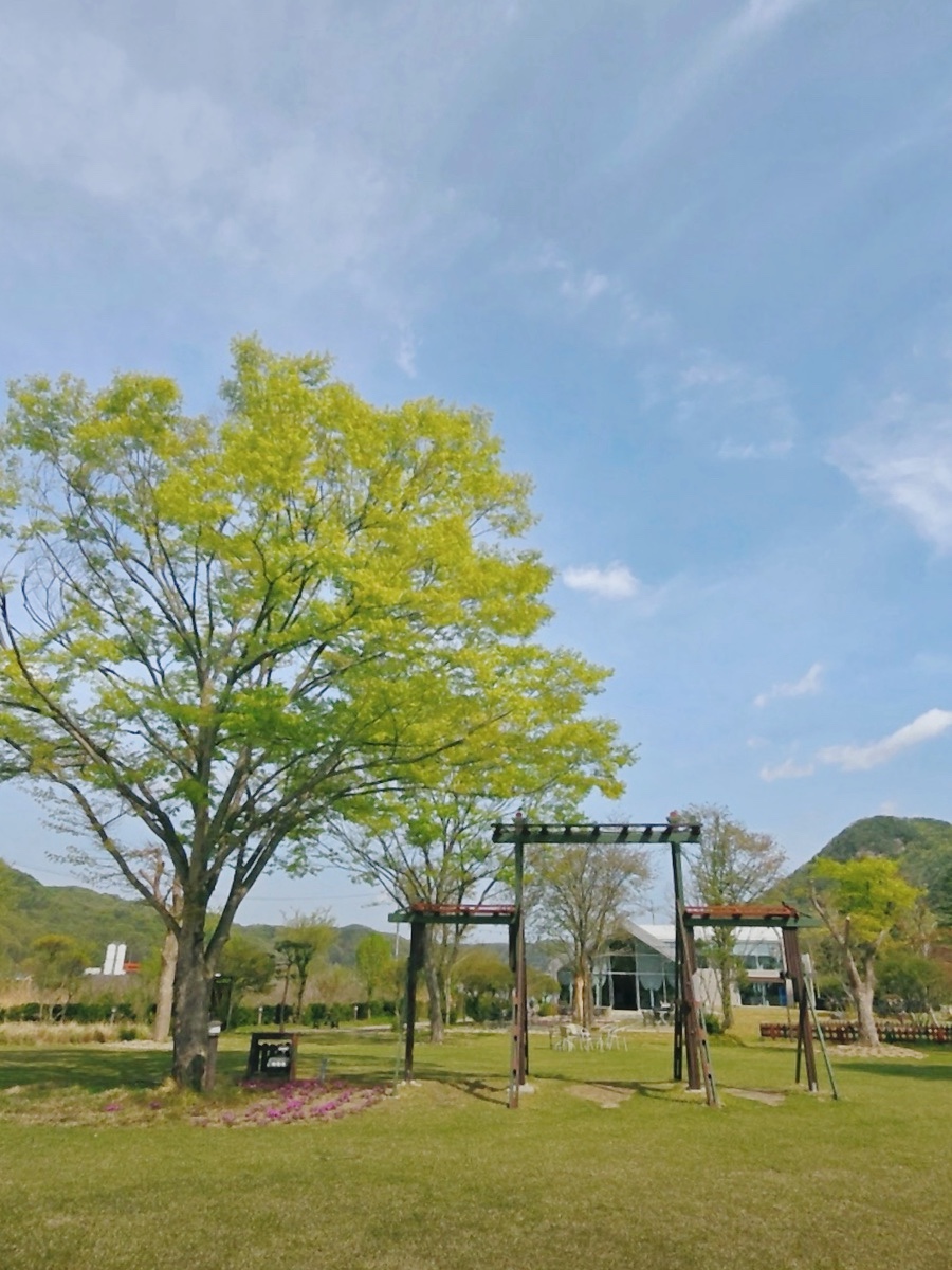 밀의온도 사진 5