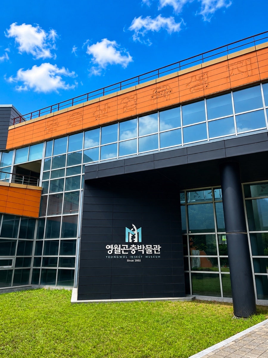 영월곤충박물관 사진 1