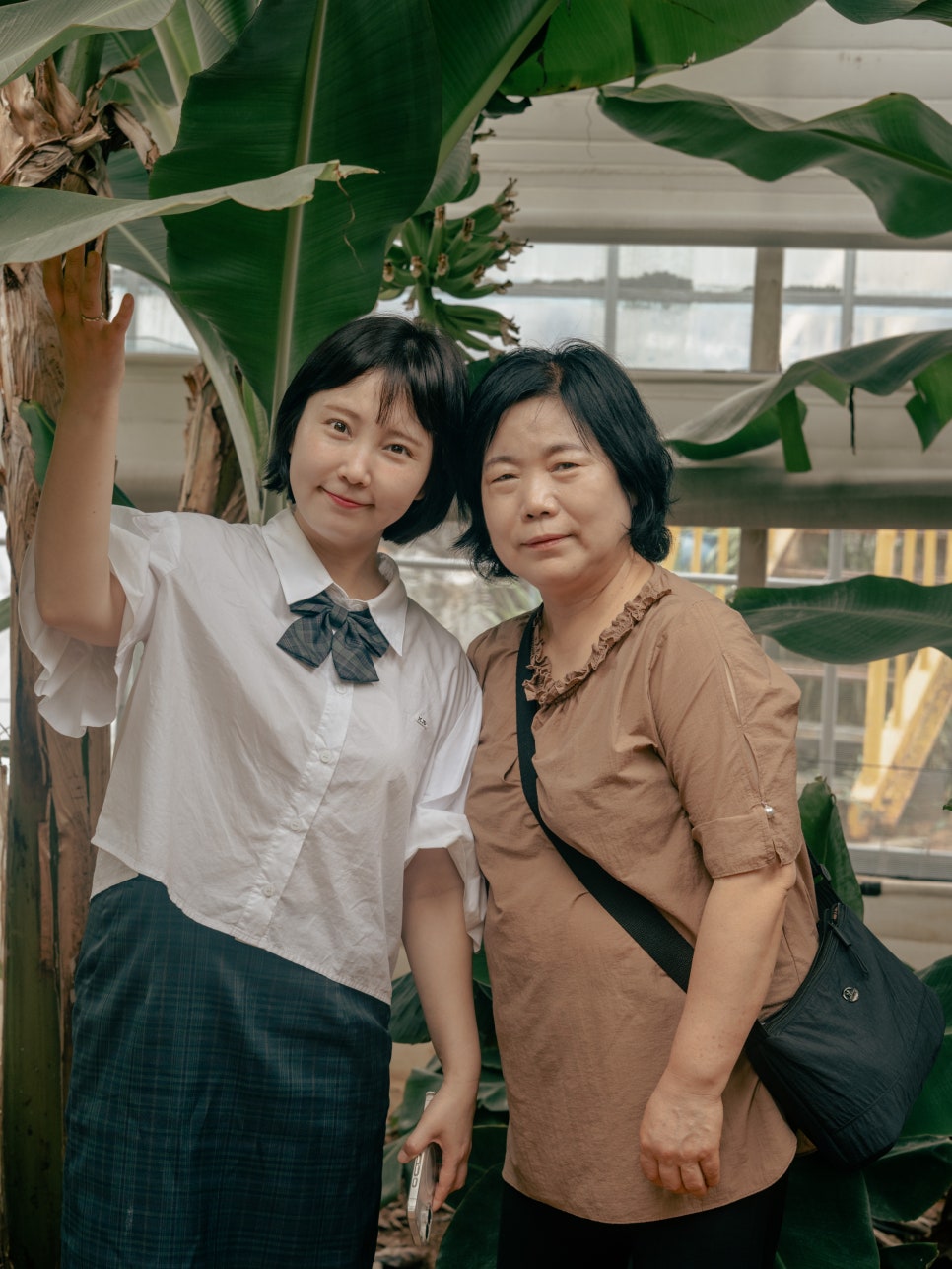 분홍염소 사진 2