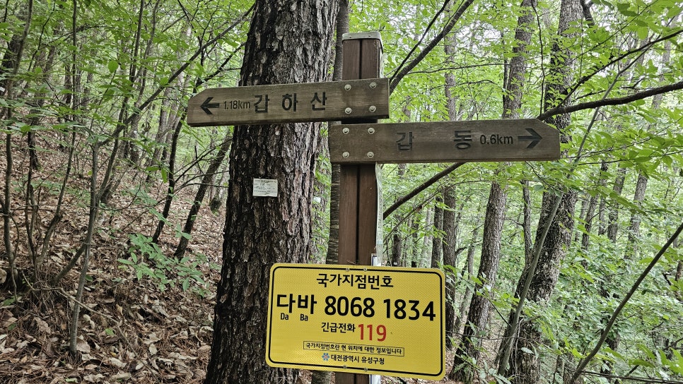 수피아 캠핑체험장 사진 6