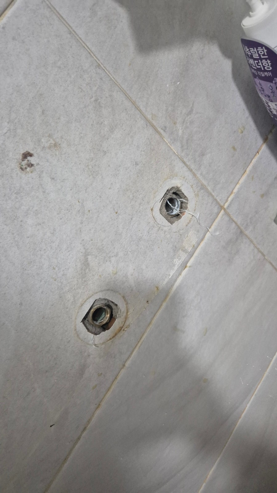 해바라기 사진 3