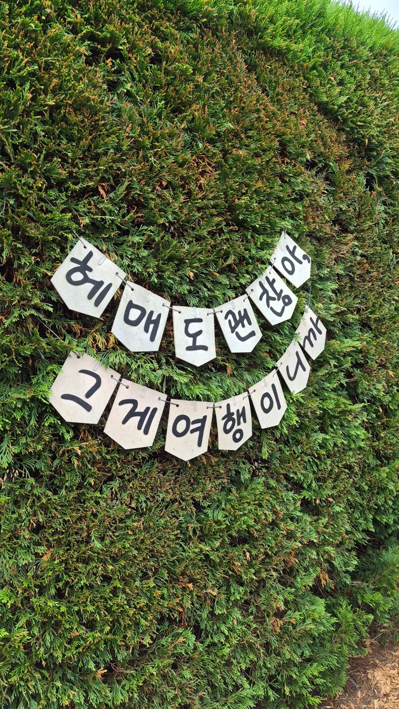 [제주/김녕미로공원] 고양이를 좋아하는 아이들이라면! 김녕미로공원 미로 탈출 & 냥이와 보....