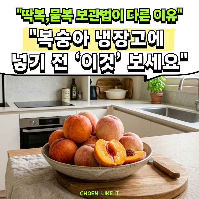 복숭아 냉장고에 넣기 전 ‘이것’ 보세요.. 딱복,물복 보관법이 다른 이유