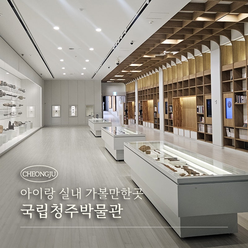 청주 실내 가볼만한곳｜국립청주박물관 입장료·주차·예약 총정리
