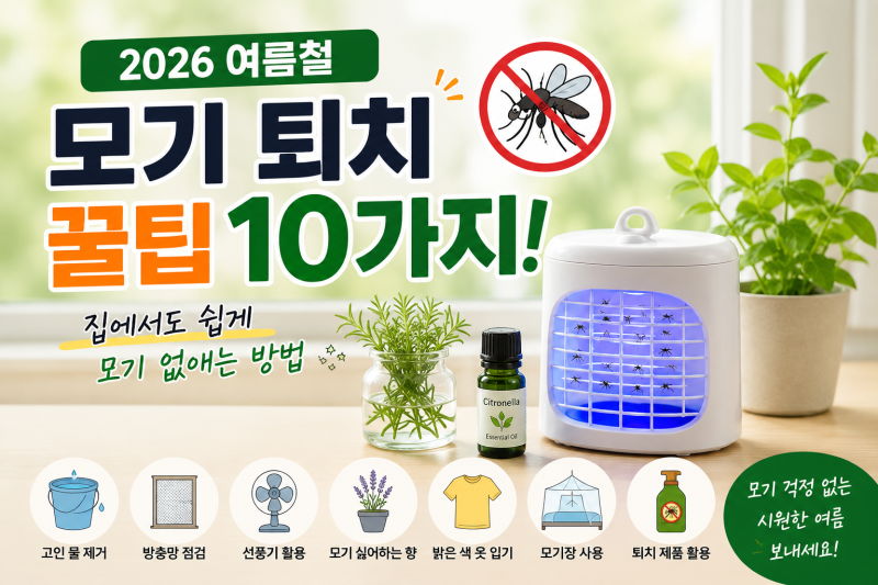 여름철 모기 퇴치 꿀팁 10가지! 집에서도 쉽게 모기 없애는 방법