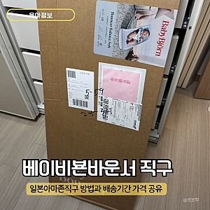 베이비뵨 바운서 직구 일본 아마존 직구 방법, 배송, 가격 14만원대 구매 방법