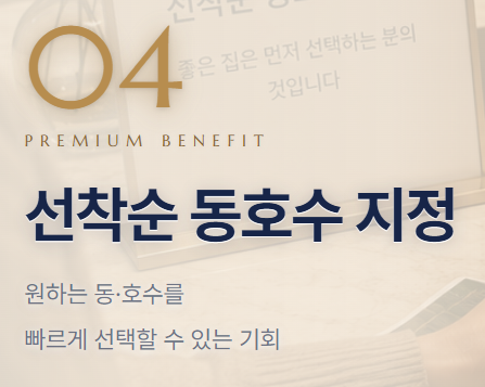 더드림 사진 5